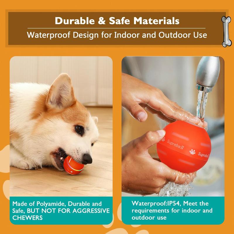 Unleash Joyful Playtime for Your Beloved Pup!